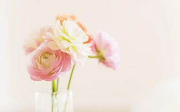 家庭温馨的作文优秀7篇