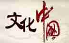 学文化的心得体会800字5篇