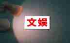 文娱工作总结推荐5篇