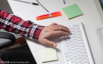 2024年文员个人年终工作总结优秀7篇