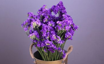 《勿忘国耻,振兴中华》演讲稿优质5篇