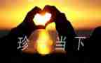 有关珍惜的演讲稿8篇