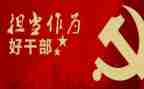 乡镇干部个人年终工作总结5篇