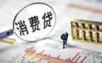 大学生消费贷调查报告5篇