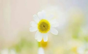 喜欢的人作文600字最新8篇