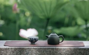 修养的作文精选8篇