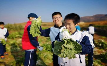 学农心得体会推荐7篇