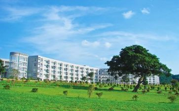 2024年学院学生工作总结5篇