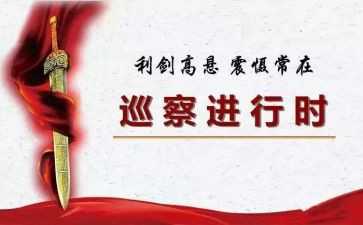 巡察干部述职述廉报告个人总结8篇