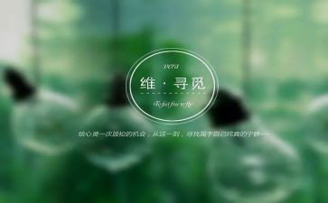 寻觅读后感5篇