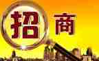 招商引资工作总结推荐6篇