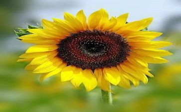 永恒的瞬间作文优秀8篇