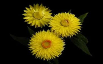 《永恒的瞬间》作文8篇