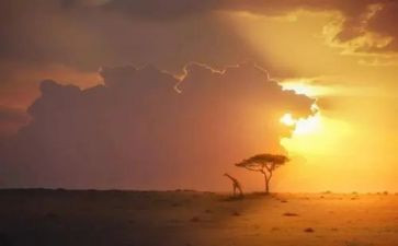 《永恒的瞬间》作文推荐7篇