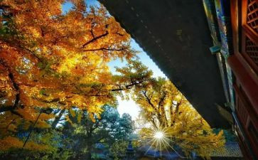 永恒的瞬间作文通用8篇