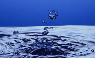 小学生节约用水的演讲稿优秀5篇