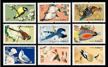 贴邮票大班教案7篇