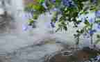 关于描写雨的作文300字7篇