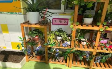 蒙氏幼儿园培训心得体会优秀8篇