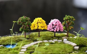 幼儿园艺术说课教案5篇