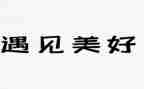 遇见它作文600字最新5篇