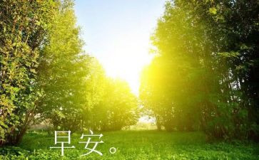 03早教活动方案最新6篇