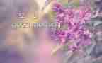早产儿日活动总结7篇