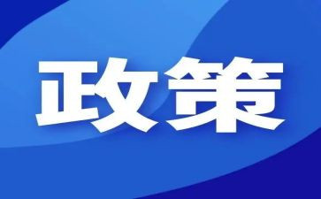 小学生双减政策心得6篇