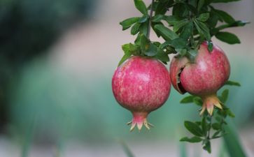 仿真实验心得体会8篇