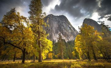 真实的心得体会6篇