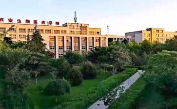 职高二学期总结优质6篇