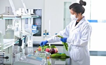 质量的个人总结精选8篇