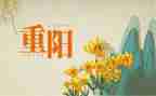 九九重阳敬老活动方案8篇