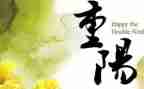 重阳节的演讲稿优秀7篇