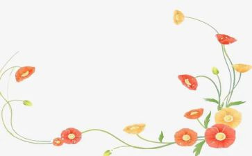 装饰公司年终工作总结5篇