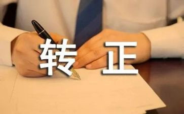 会计岗转正述职报告优秀6篇