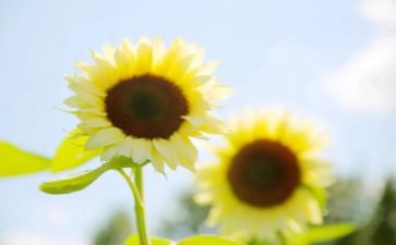 追求生命的作文7篇