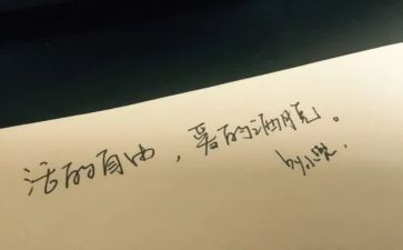 …的自由的作文通用7篇